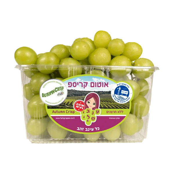 מארז ענבי טלי ירוקים