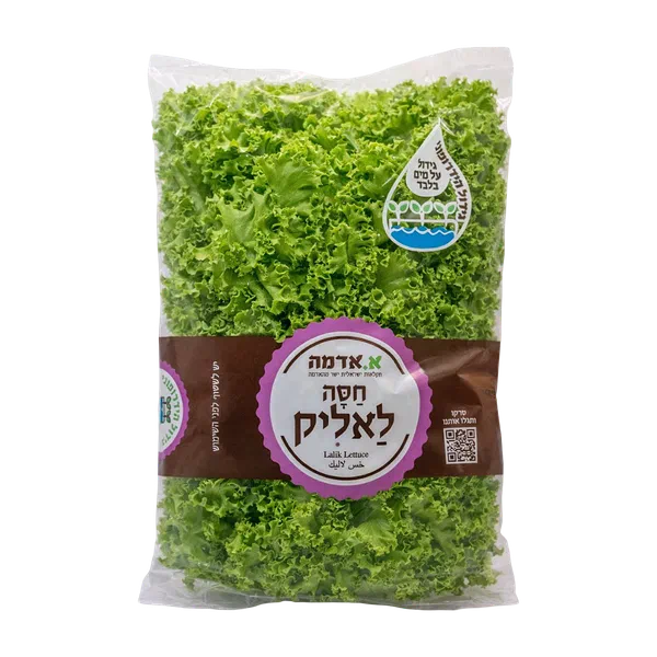 חסה לאליק הידרופוני מארז