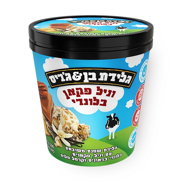 Ben & Jerry's Vanilla Pecan Blondie Ice Cream Pint