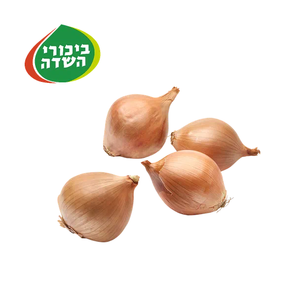 מארז בצלים יבשים