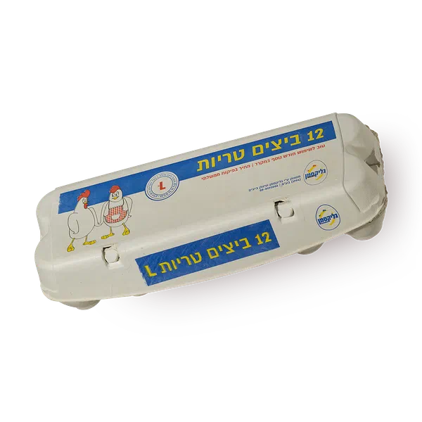 Eggs, size L- Controlled price