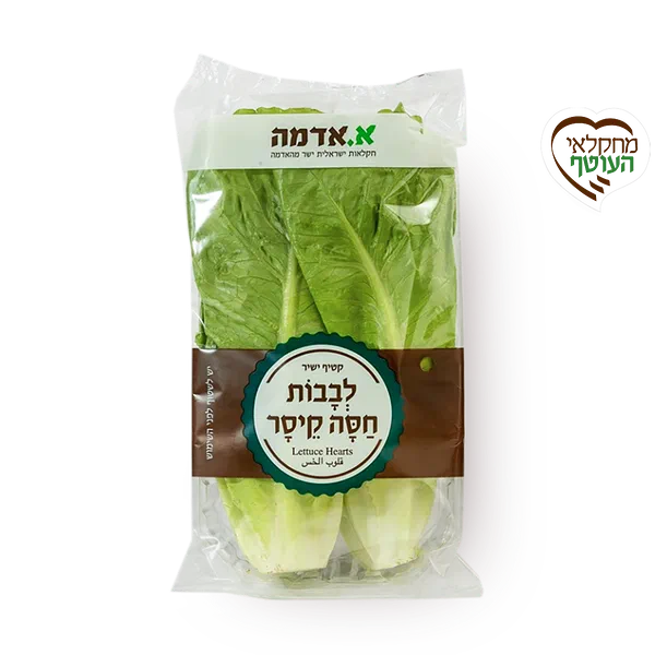 Lettuce Hearts - packed