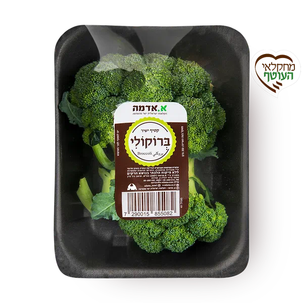 Broccoli, packed
