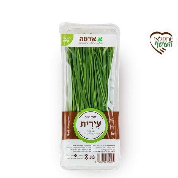 עירית מארז