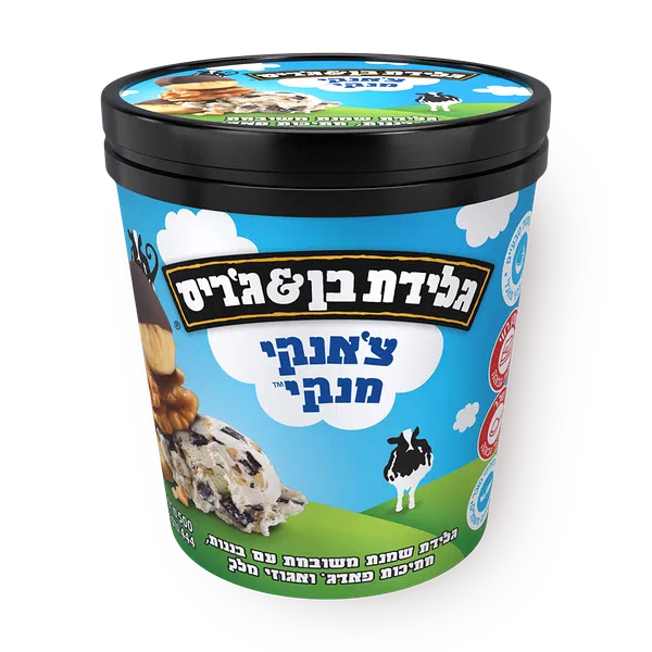Ben&Jerry's Chunky Monkey Ice cream pint