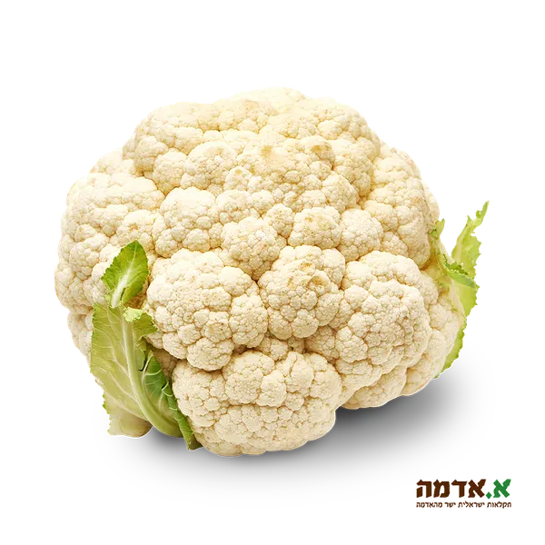 Cauliflower pack