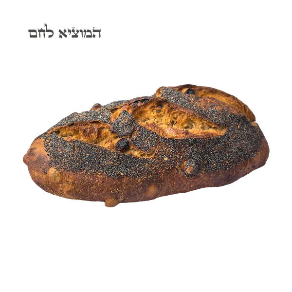 Sourdough Pecan & Raisin Bread Hamotzi
