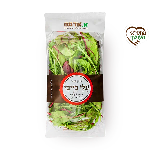 עלי בייבי - ארוז