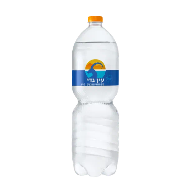 Ein Gedi Mineral water