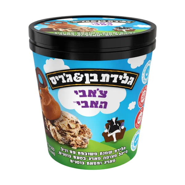 Ben&Jerry's Chubby Hubby ice cream pint