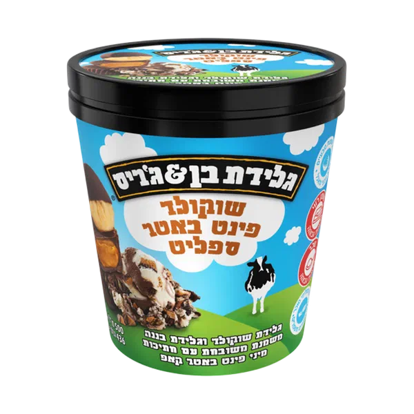 Ben & Jerry’s Chocolate Peanut Butter Split Ice Cream Pint