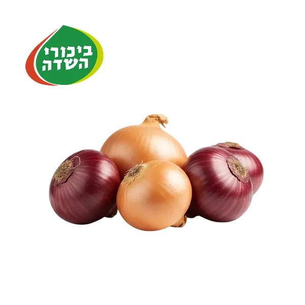 מיקס בצלים