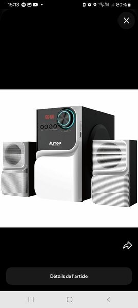 Système audio 2.1 puissant