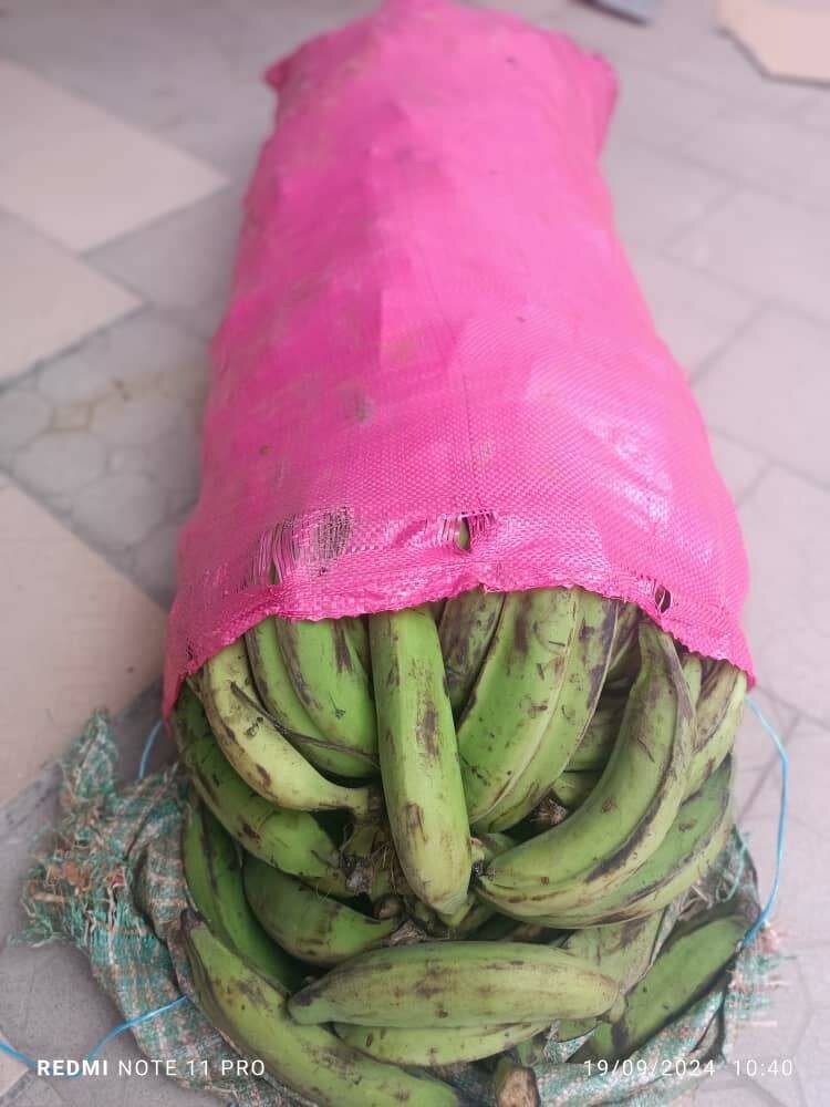 Bananes fraîches en gros