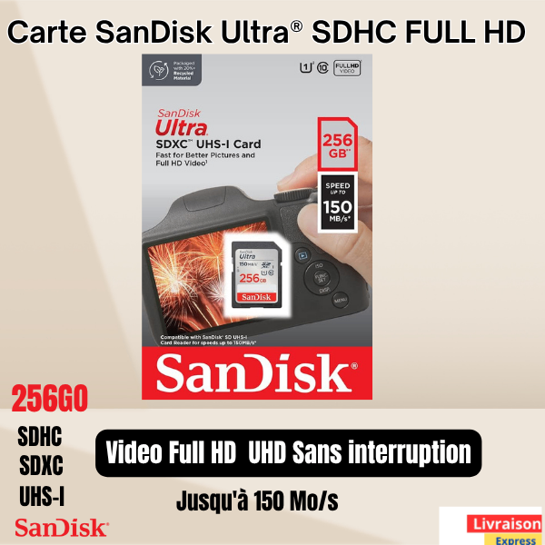 Carte SD SanDisk 256 Go