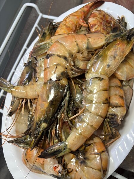 Grosse Gambas