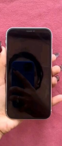 iPhone XR Blanc 64GB