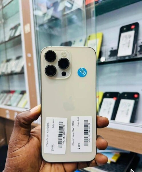 iPhone 13 Pro Max 256GB