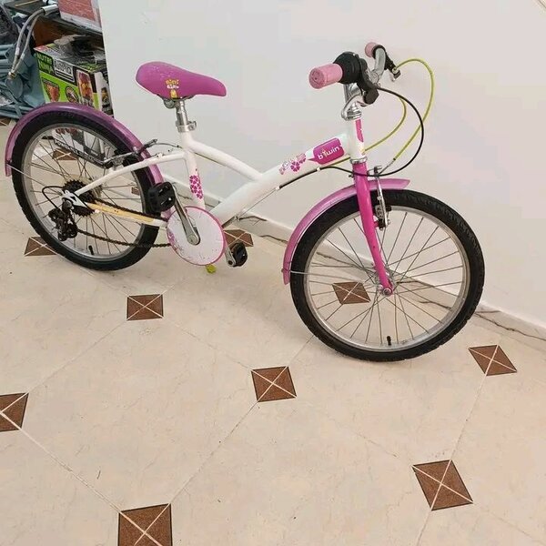 Vélo Enfant Fille 20 pouces