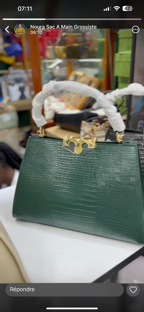 Sac à Main Croco Élégant