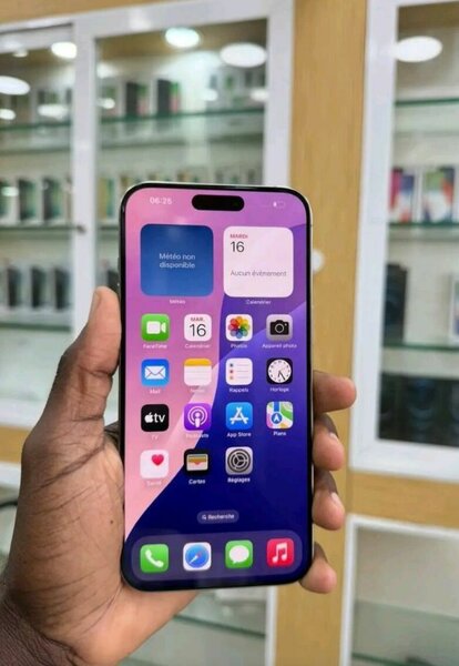 iPhone 14 Pro Max Argent