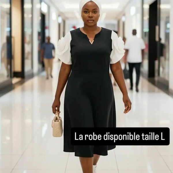 Robe Élégante Noire et Blanche