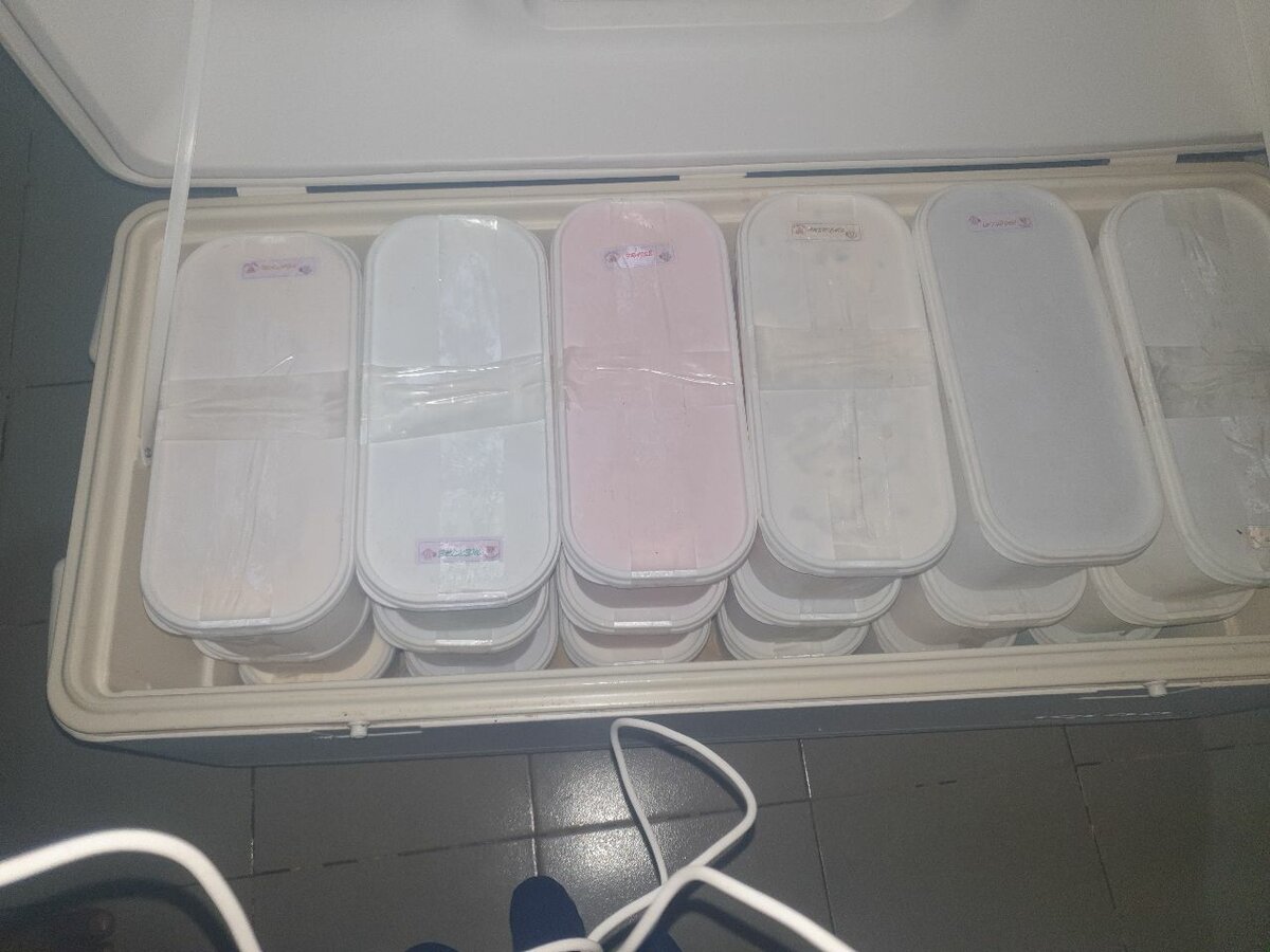 Glace artisanale crémeuse