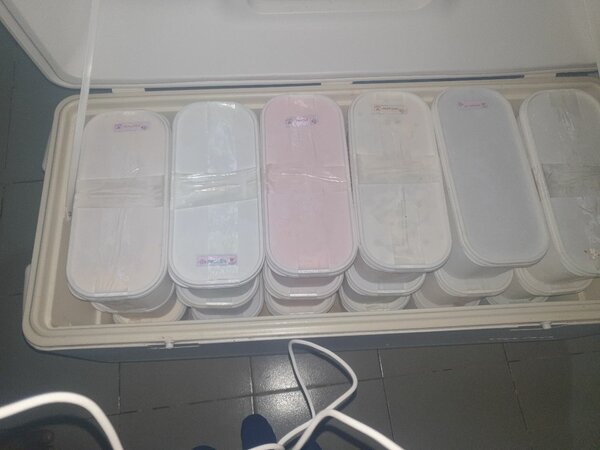 Glace artisanale crémeuse