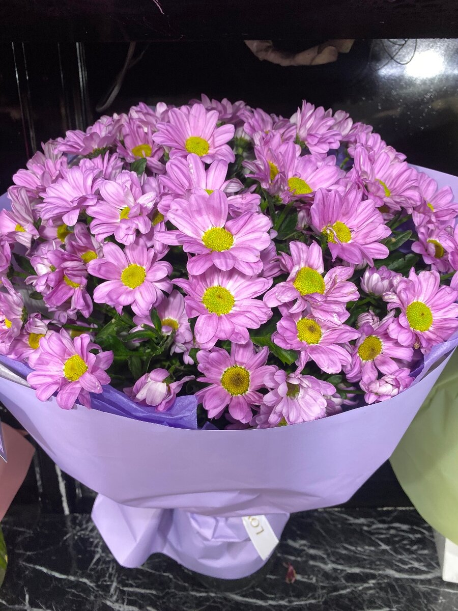 Хризантема