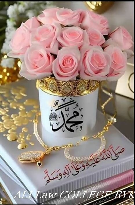 Allied study pack play