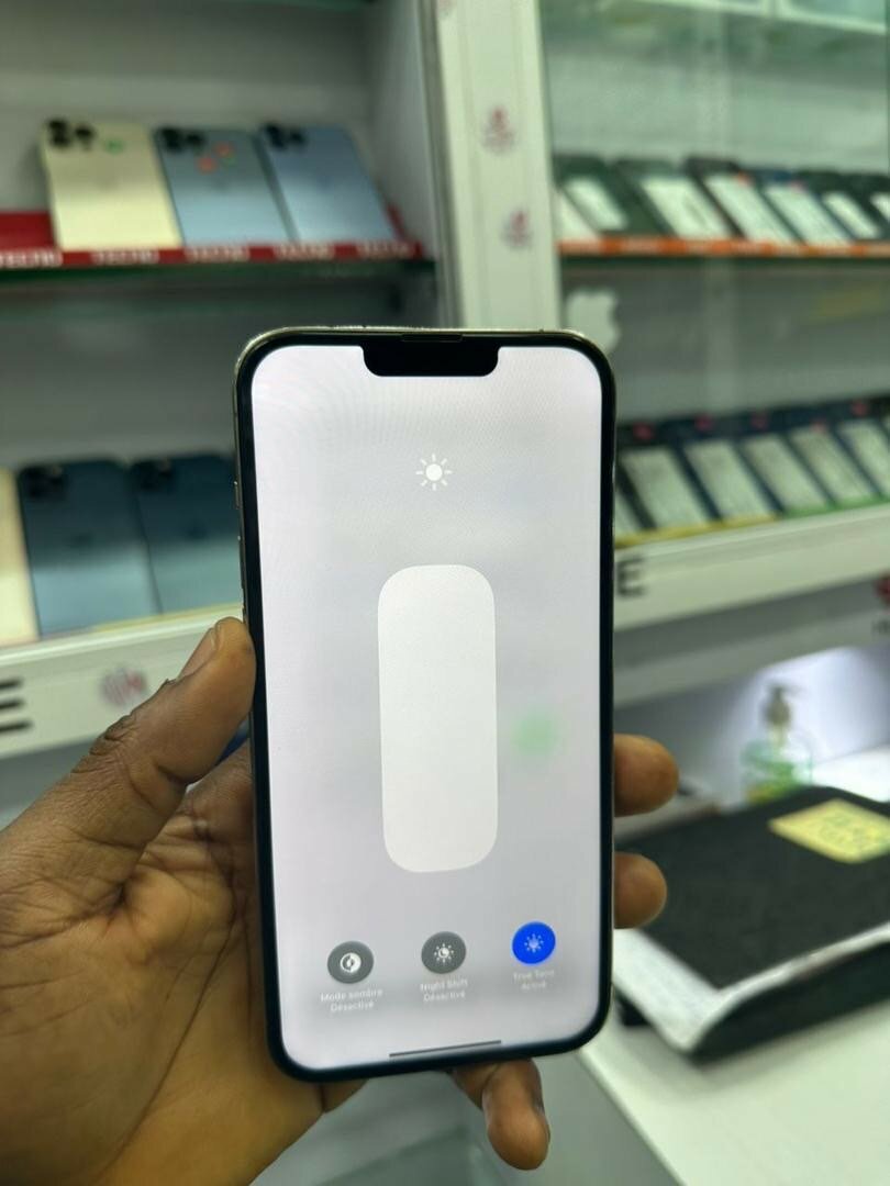 iPhone 13 Pro Max 256go quasi