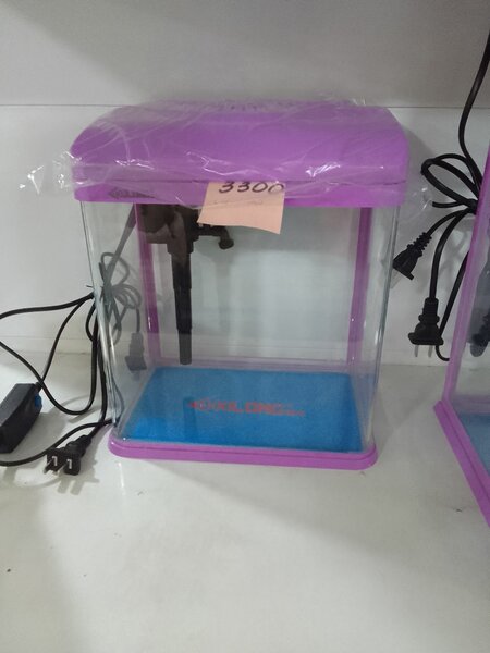 Мини аквариум