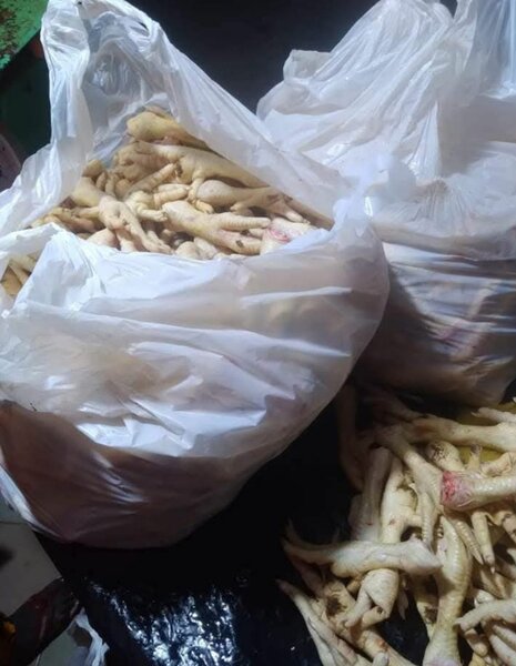 Pattes de Poulet Fraîches