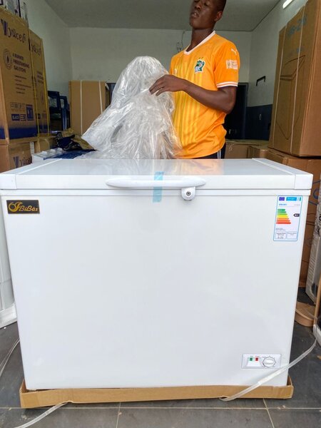 Congélateur flilas 308L