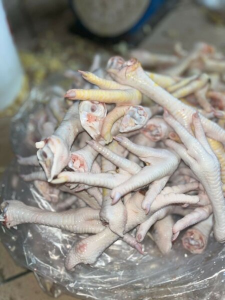 Pattes de poulet fraîches