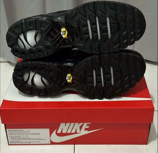 Nike Air Max TN Noir