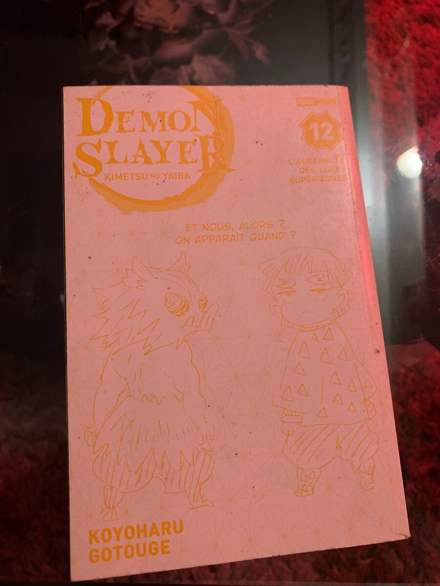 Demon Slayer Tome 12
