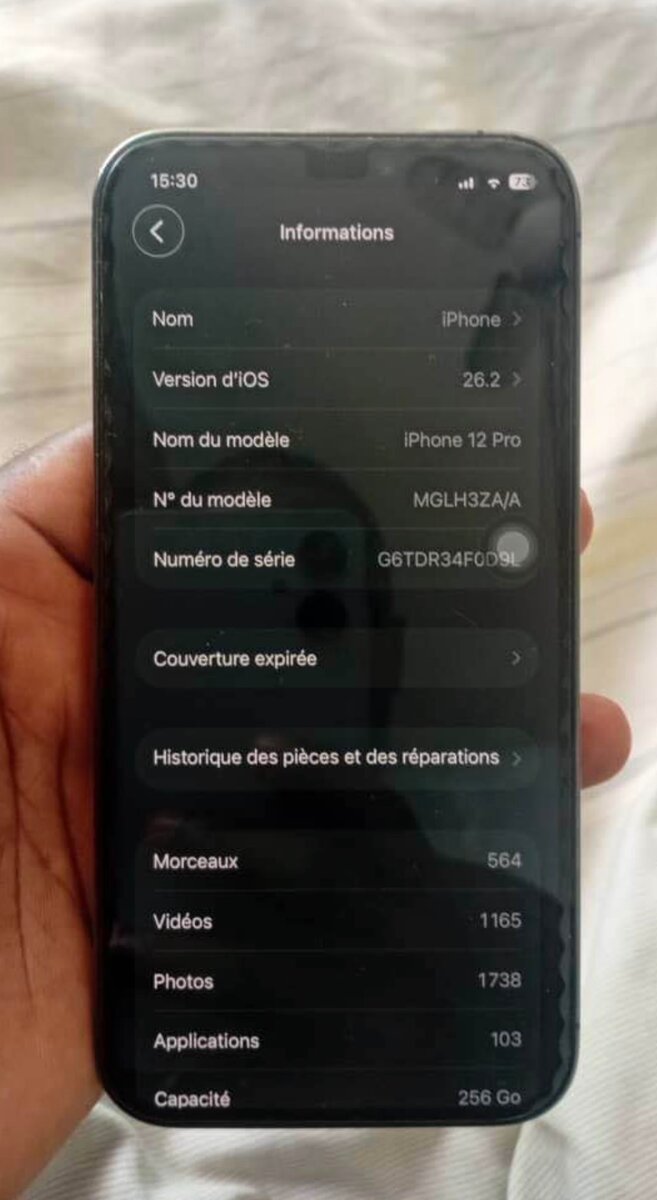 iPhone 12 Pro 256 Go Gris