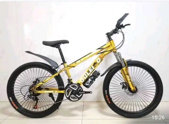 Vélo tout-terrain Bulldog