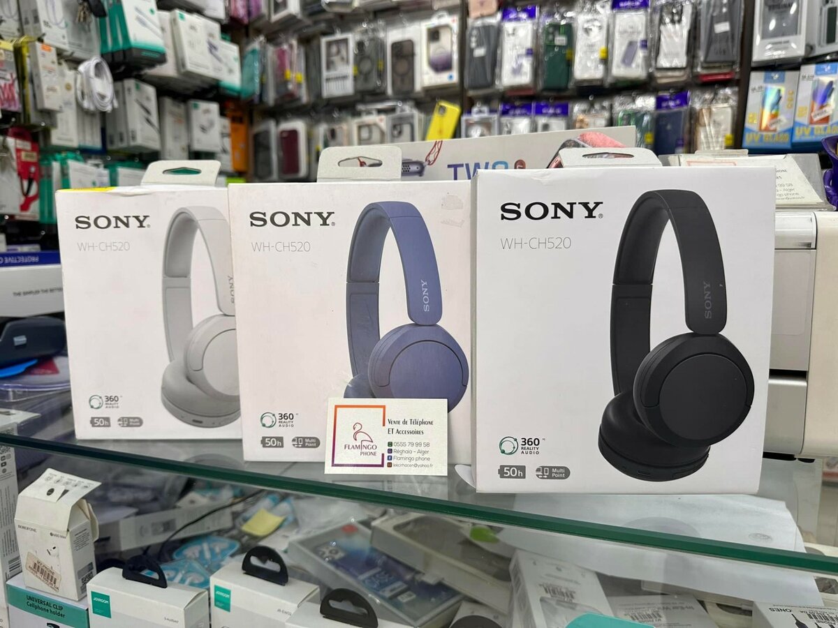 Sony Casque BT WH-CH 520 - Noir
