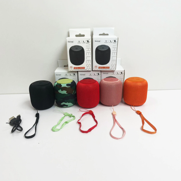 Enceinte Bluetooth Portable WS-305