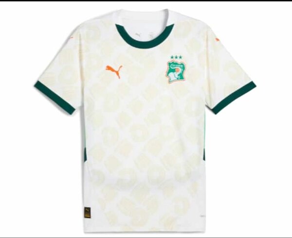 Maillot Côte d'Ivoire