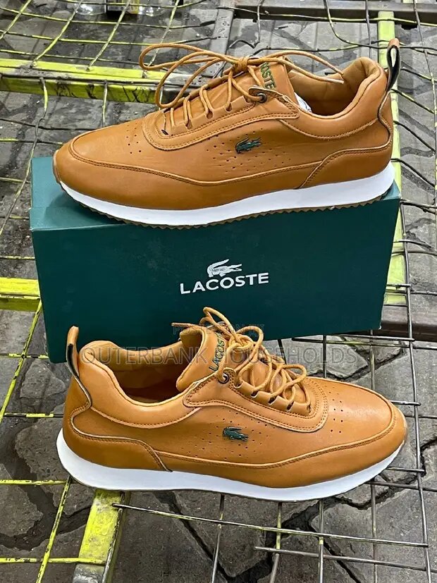 Basket Lacoste pointure 41