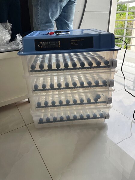 Couveuse automatique