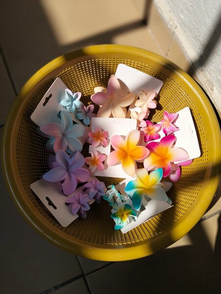 Barrettes fleurs colorées