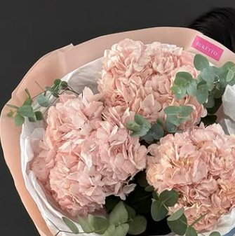 Королевские Гортензии 🤩