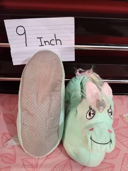 Ladies slippers