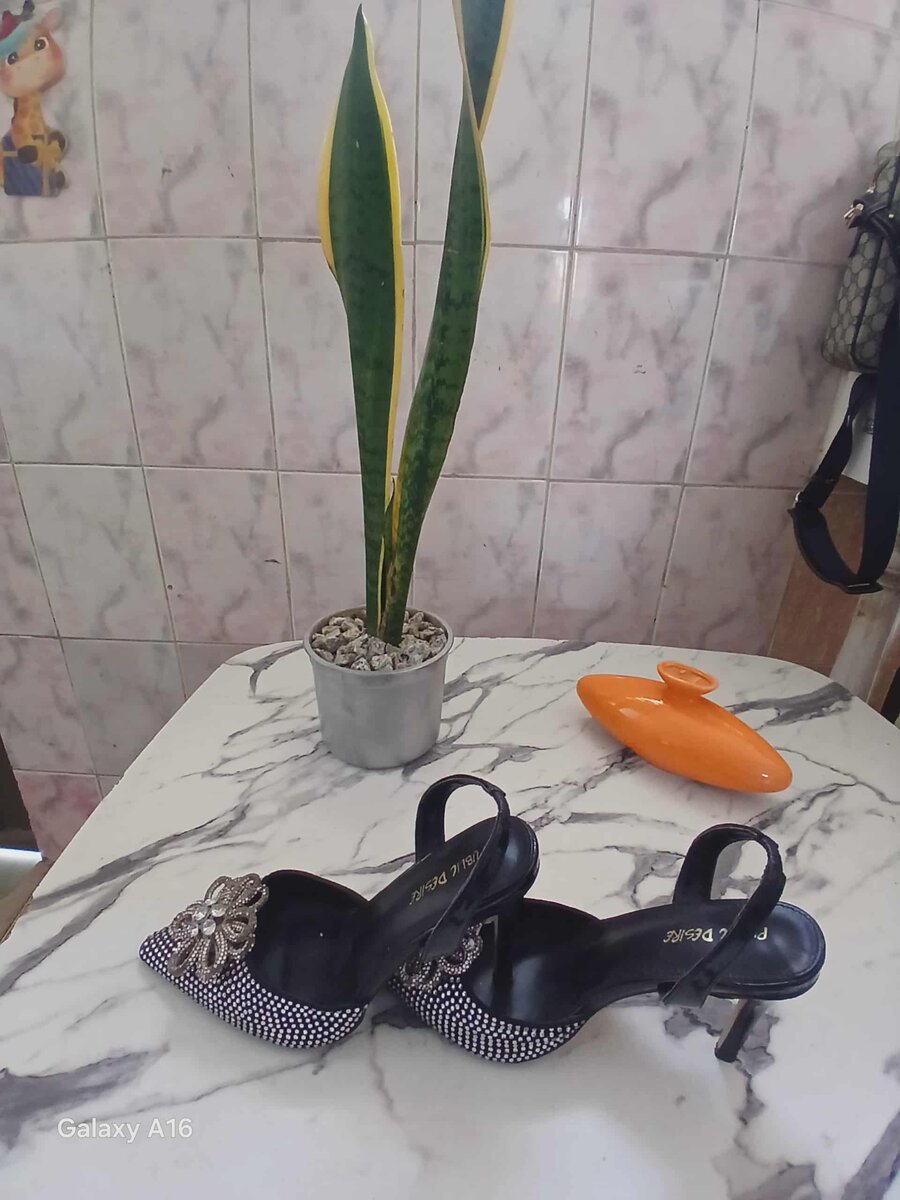 Belle chaussures  de marque,