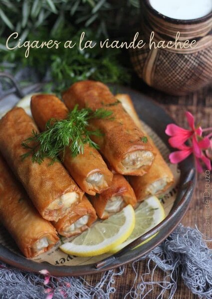 10 bricks à la viande hachée