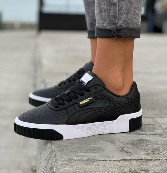 Puma cali